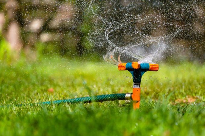Dangers of Overwatering Your Lawn | Hittle Landscaping