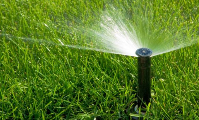 Watering the Lawn Best Practices | Hittle Landscaping