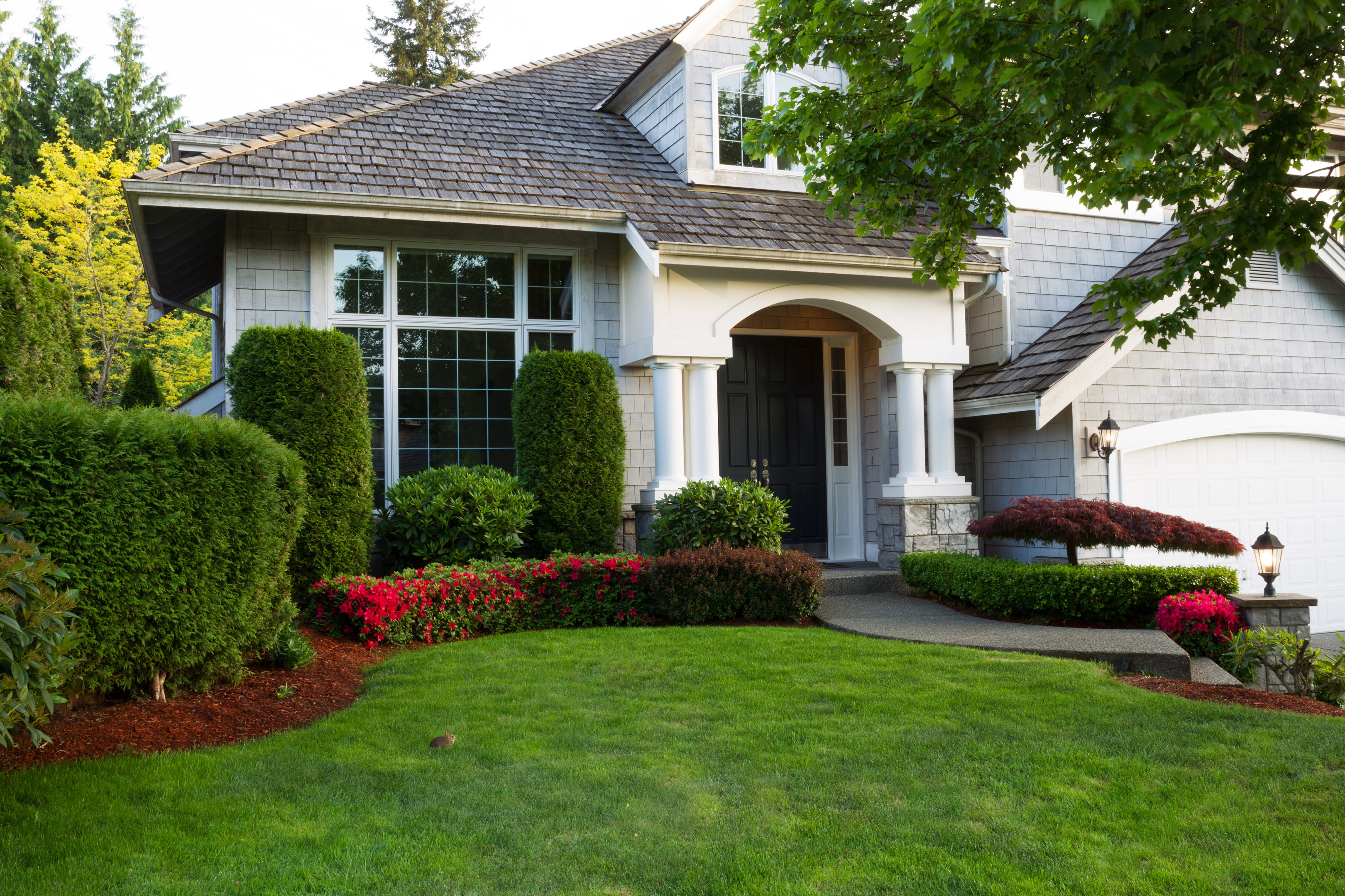 Keep Your Lawn Alive in a Drought | Hittle Landscaping
