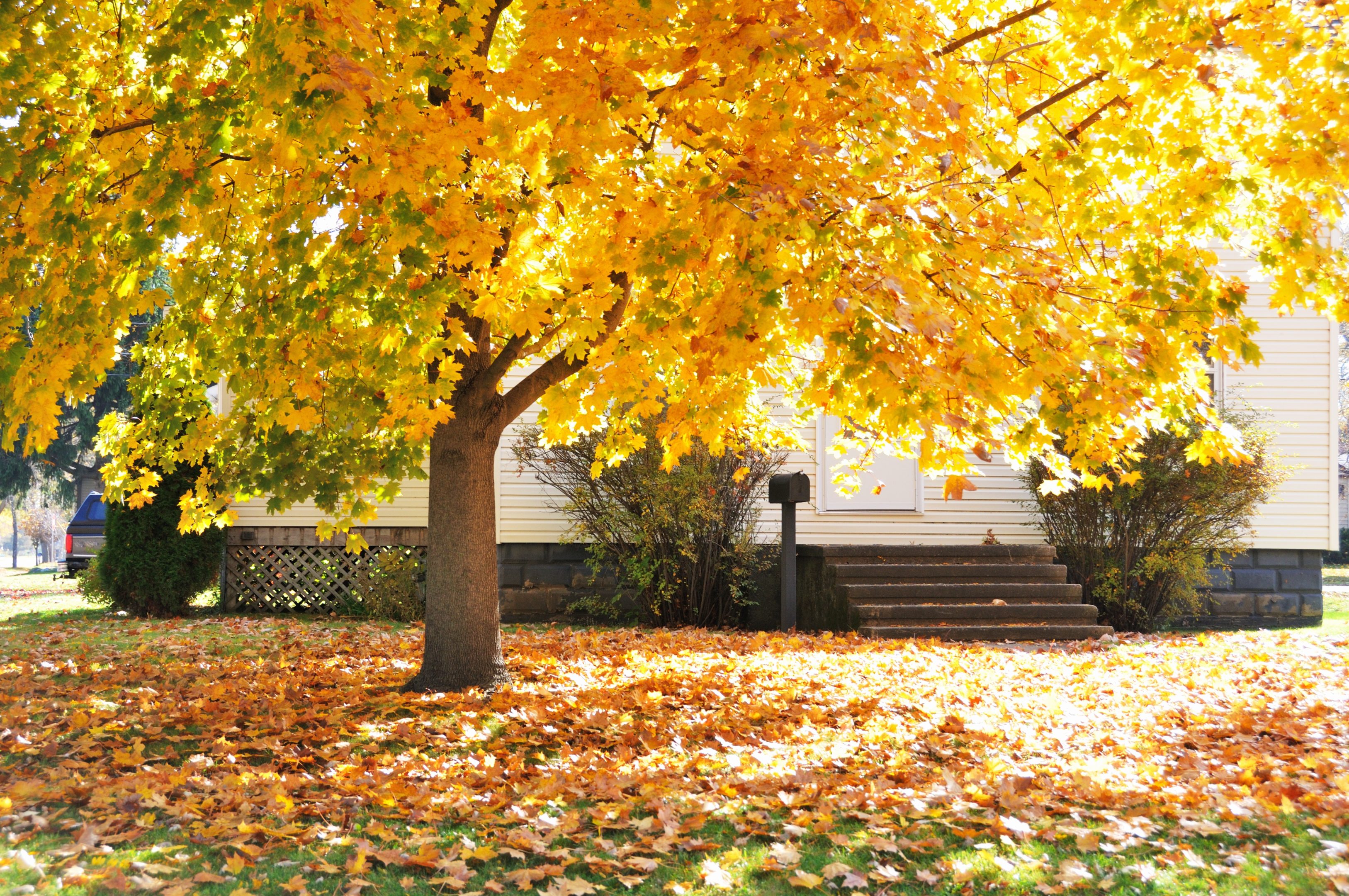 When to Start Preparing for Fall | Hittle Landscaping