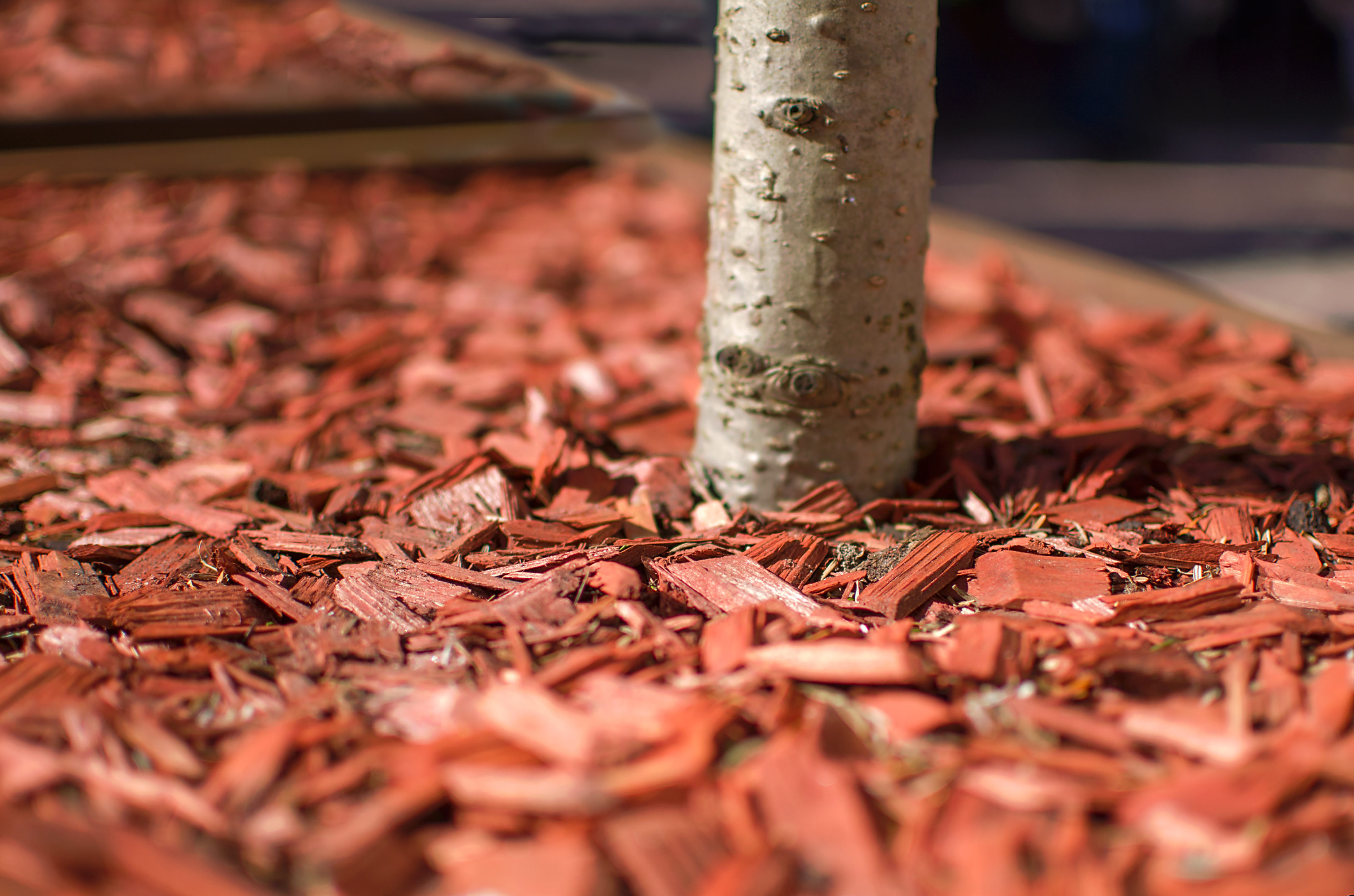 Benefits of Mulch | Hittle Landscaping