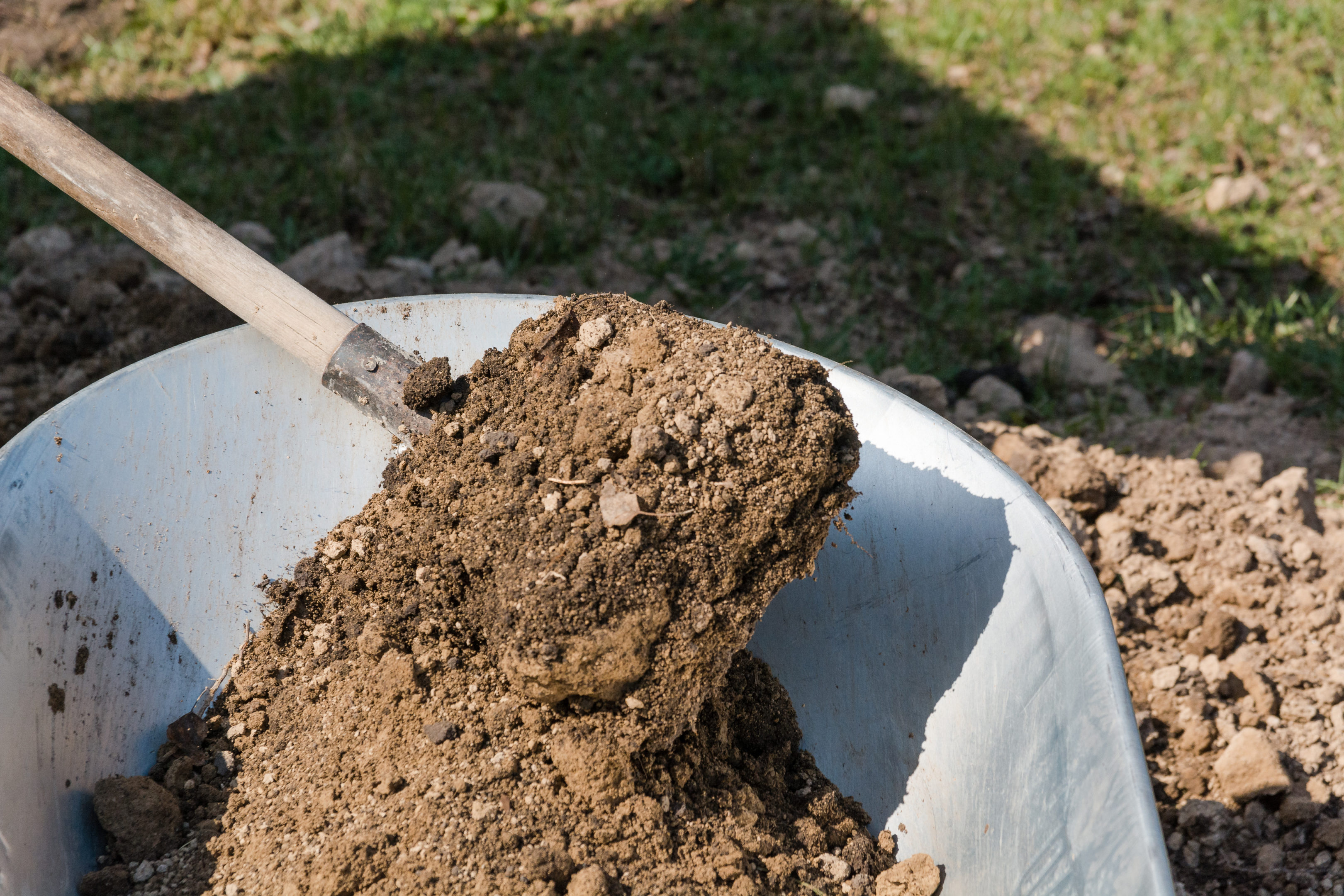 Why you should have your yard fertilized in the Winter | Hittle Landscaping