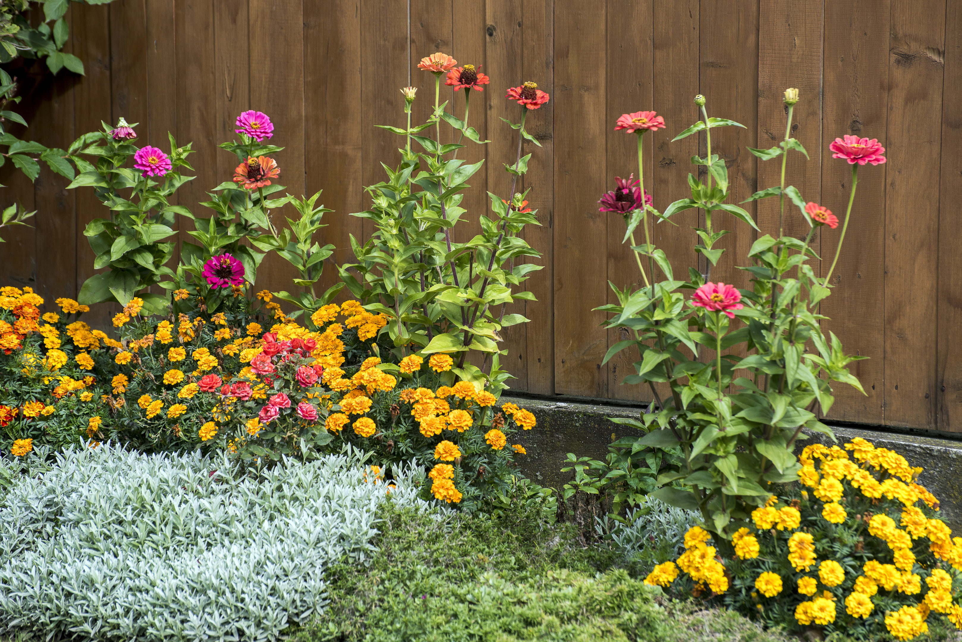 3 Things Your Flowerbeds Need Before Winter Weather | Hittle Landscaping