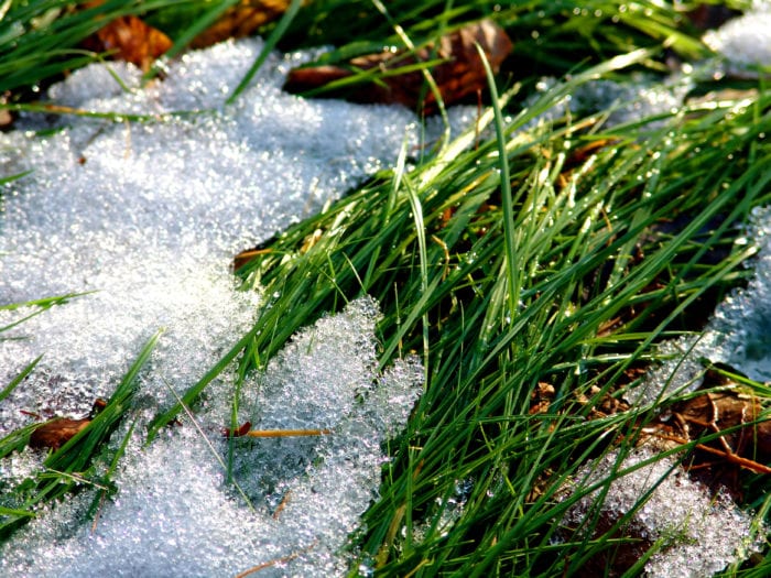 When to prepare your lawn for spring | Hittle Landscaping