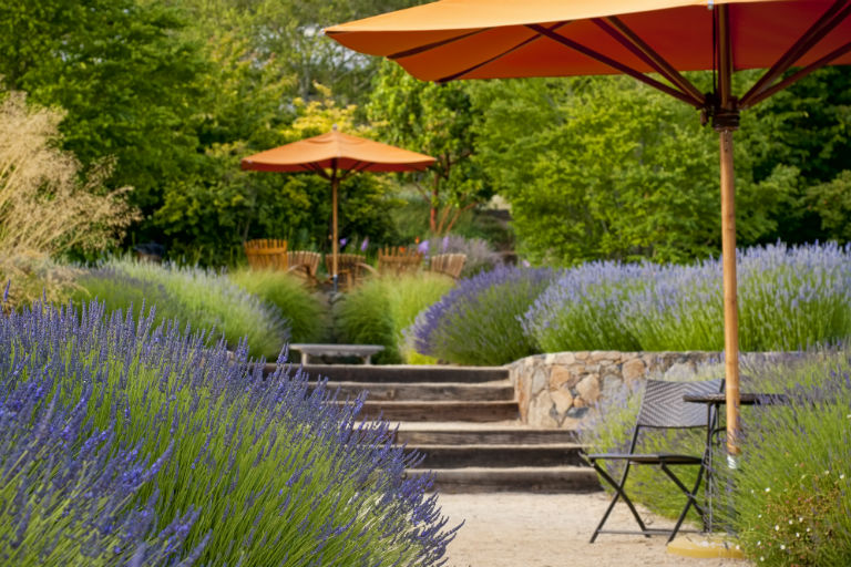 backyard with lavender plants and orange umbrellas | Landscaping Improvements and HELOCs | Hittle Landscaping