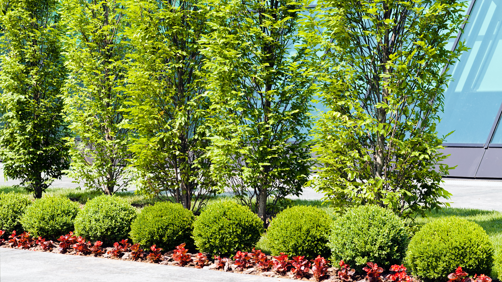 commercial landscaping contractor